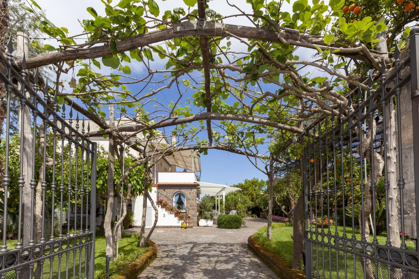 Visitez notre jardin typique de Sorrento avec citronniers-48