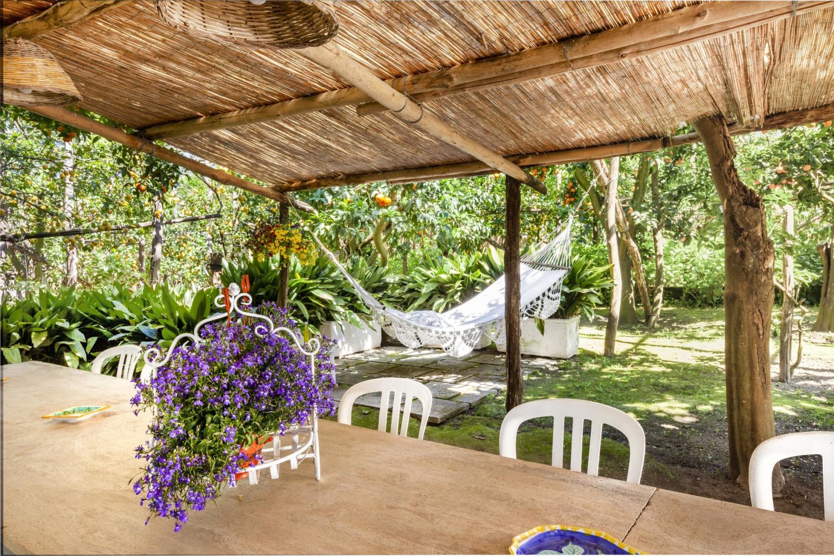 Visitez notre jardin typique de Sorrento avec citronniers-42