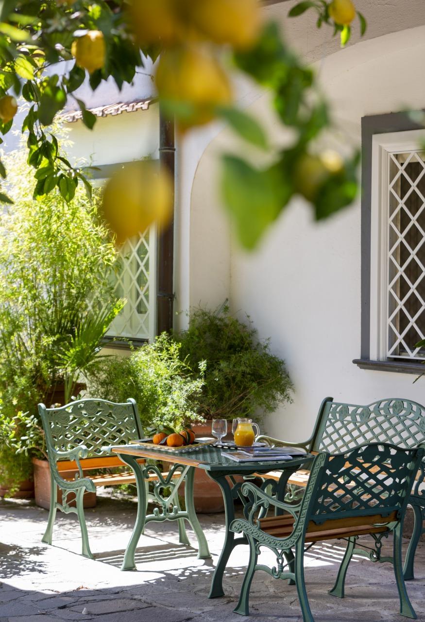 Visit our typical Sorrento garden with lemon grove-9