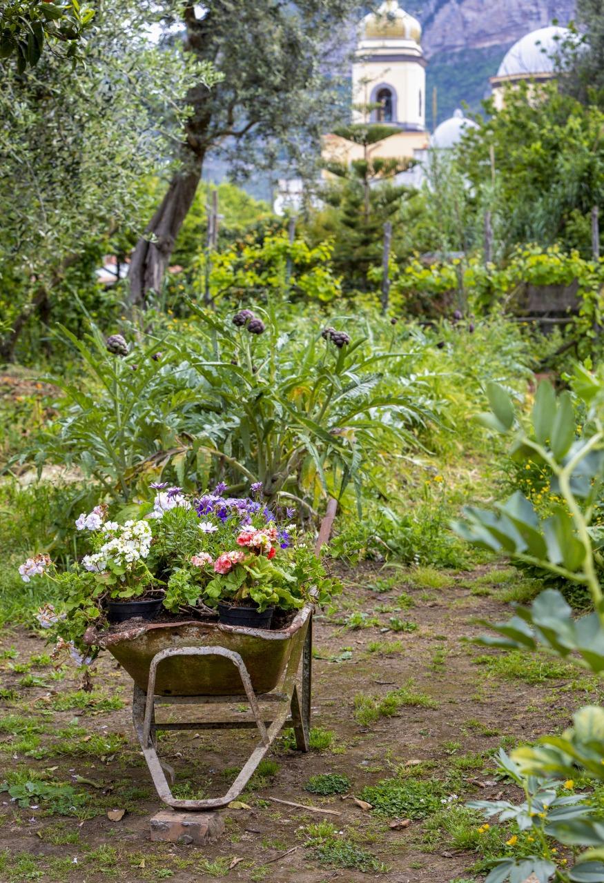 Vegetable Garden-1