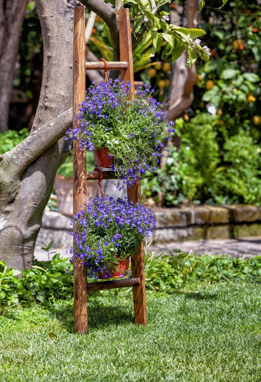 Visitez notre jardin typique de Sorrento avec citronniers-19