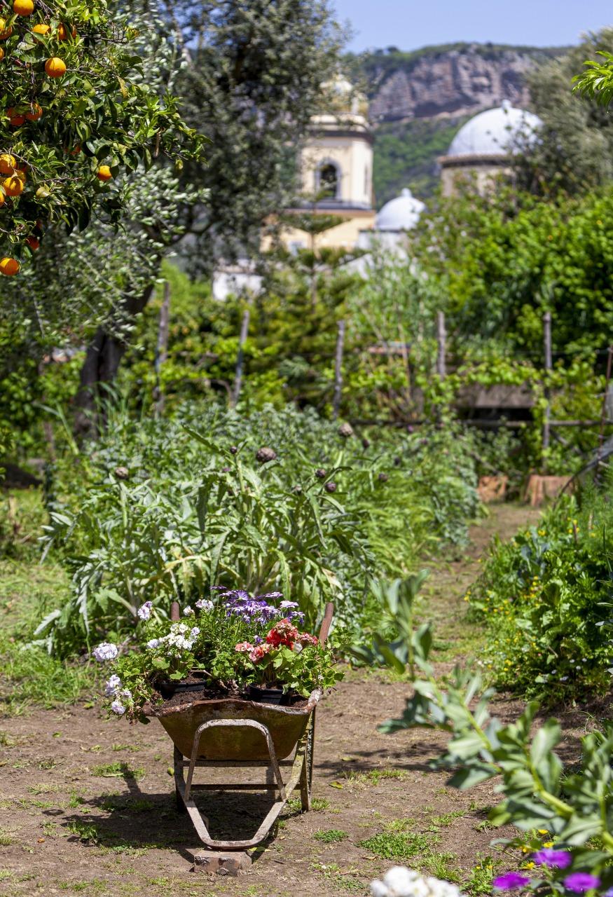 Gemüsegarten-42