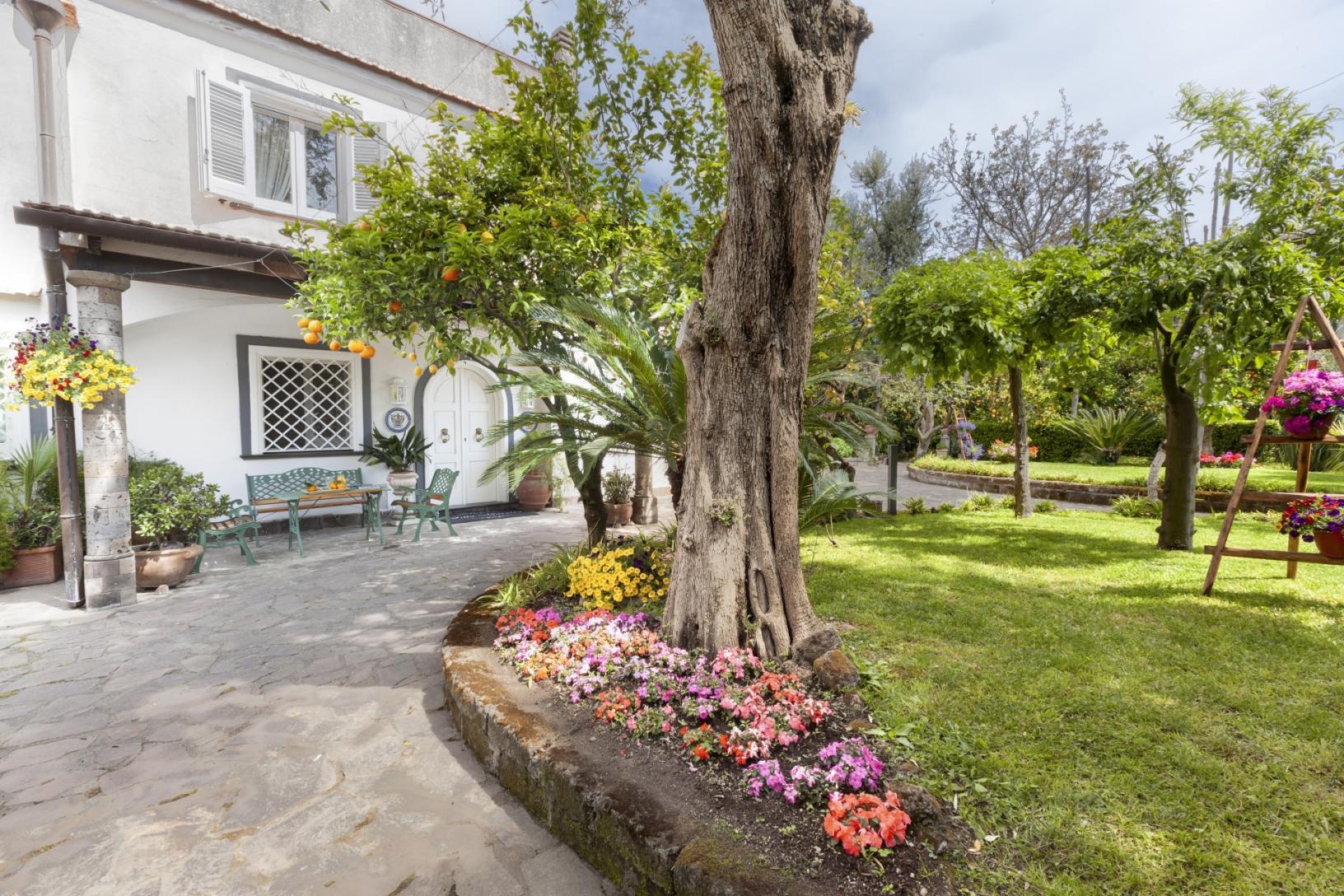 Besuchen Sie unseren typischen Garten in Sorrent mit Zitronenhain-34