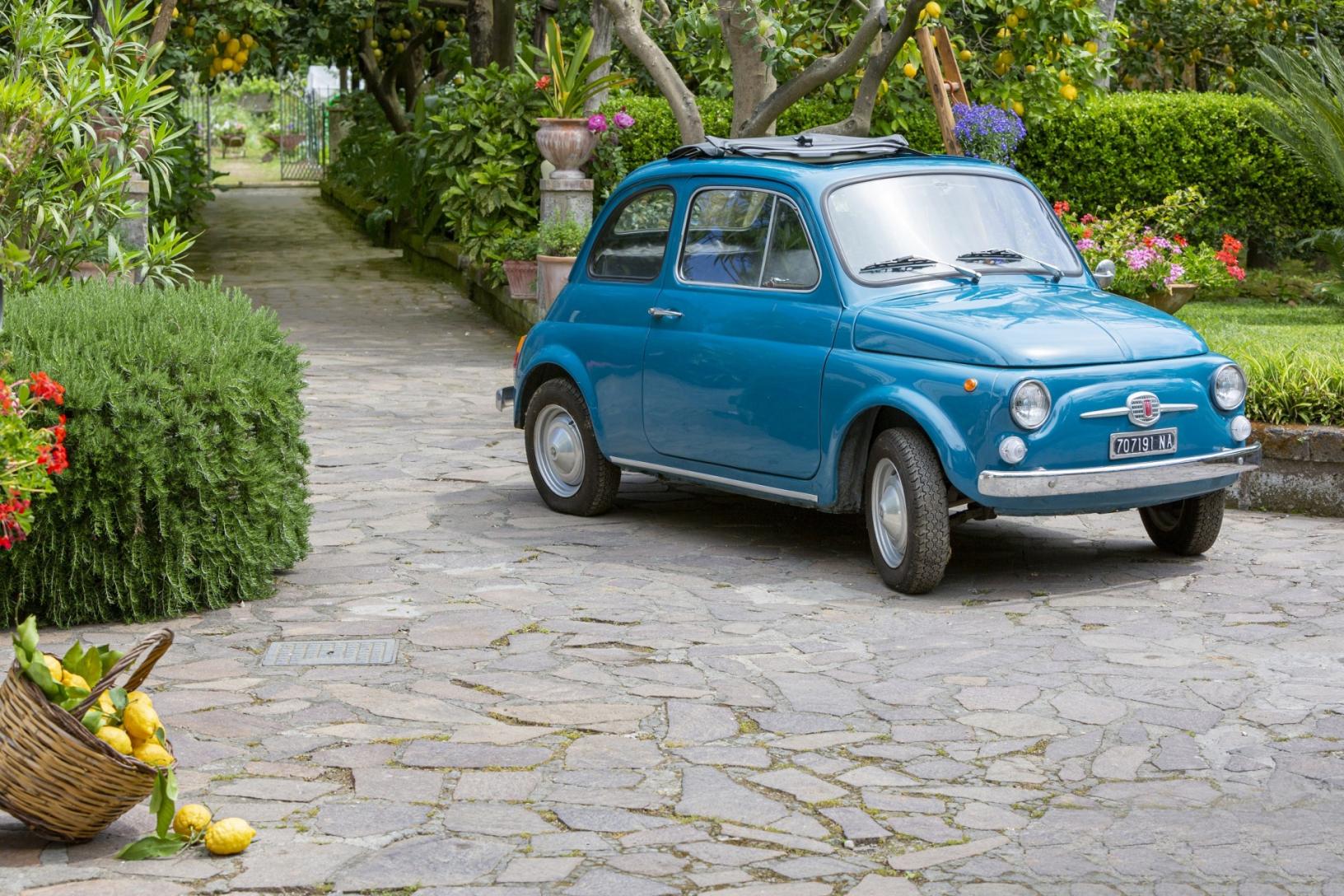 Visita il nostro tipico giardino sorrentino con limoneto-46