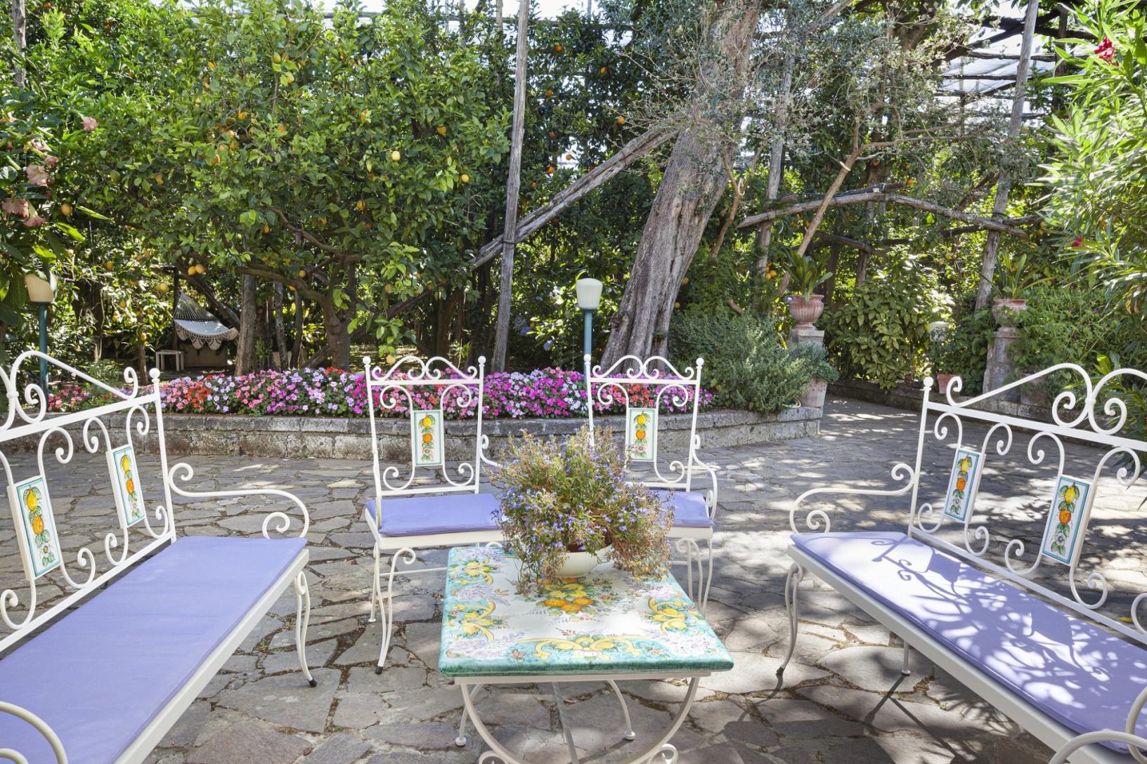 Visit our typical Sorrento garden with lemon grove-49