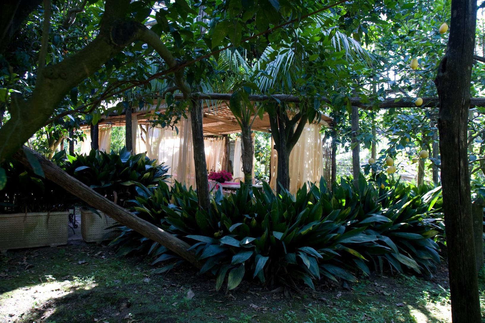 Visita il nostro tipico giardino sorrentino con limoneto-15