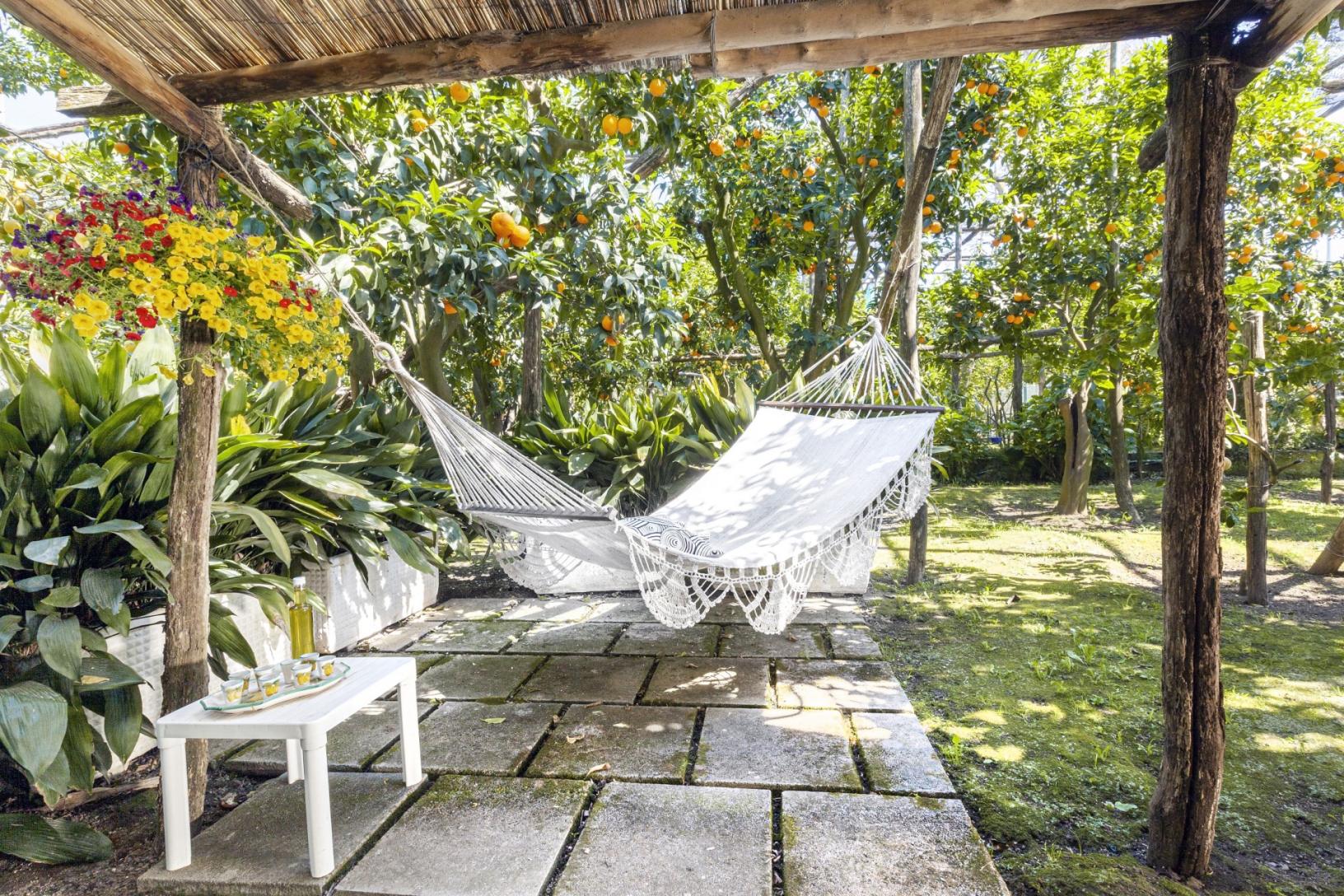 Visitez notre jardin typique de Sorrento avec citronniers-4