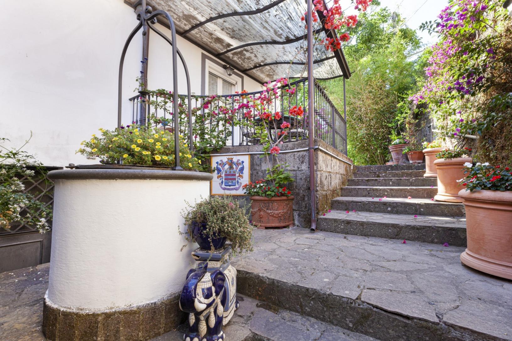Visit our typical Sorrento garden with lemon grove-50
