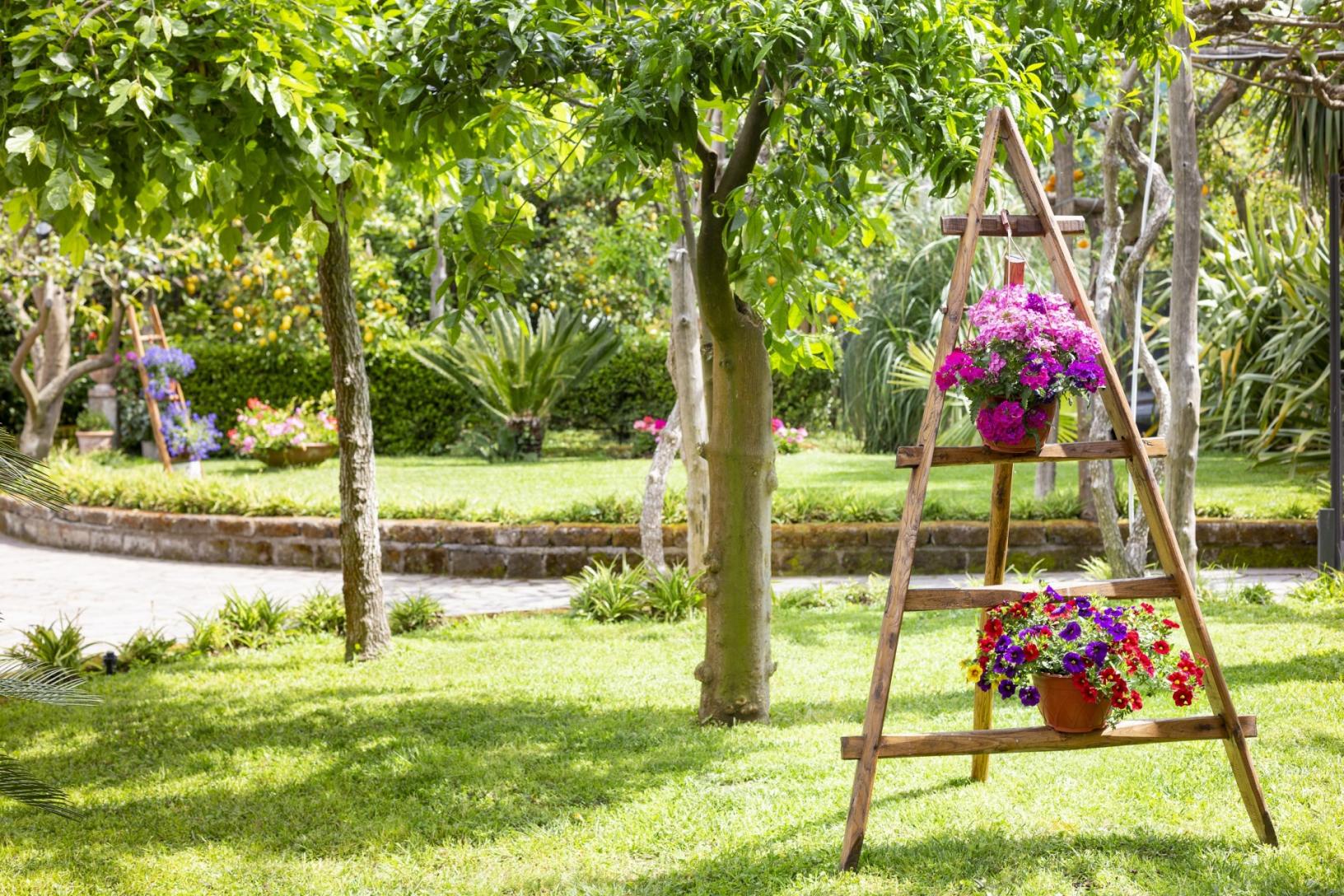 Visita il nostro tipico giardino sorrentino con limoneto-8