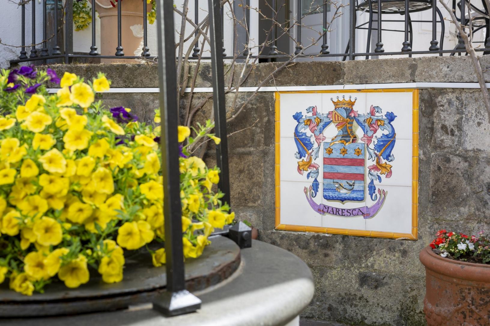 Visita il nostro tipico giardino sorrentino con limoneto-23