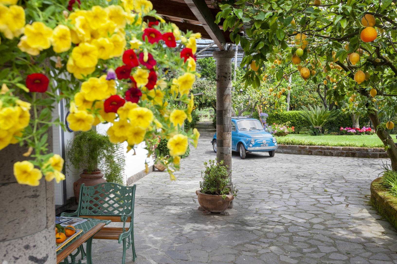 Besuchen Sie unseren typischen Garten in Sorrent mit Zitronenhain-36