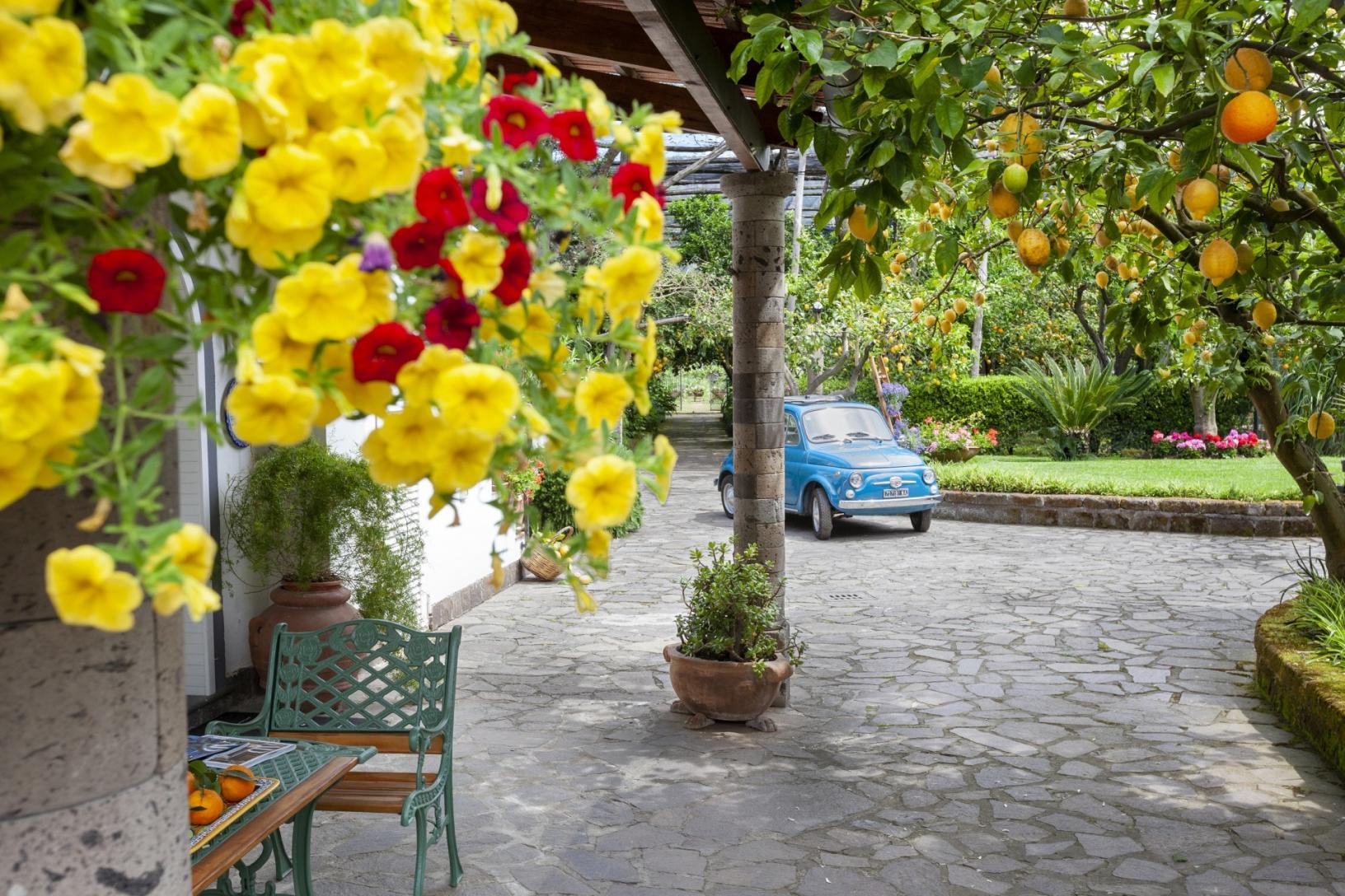 Visita il nostro tipico giardino sorrentino con limoneto-36