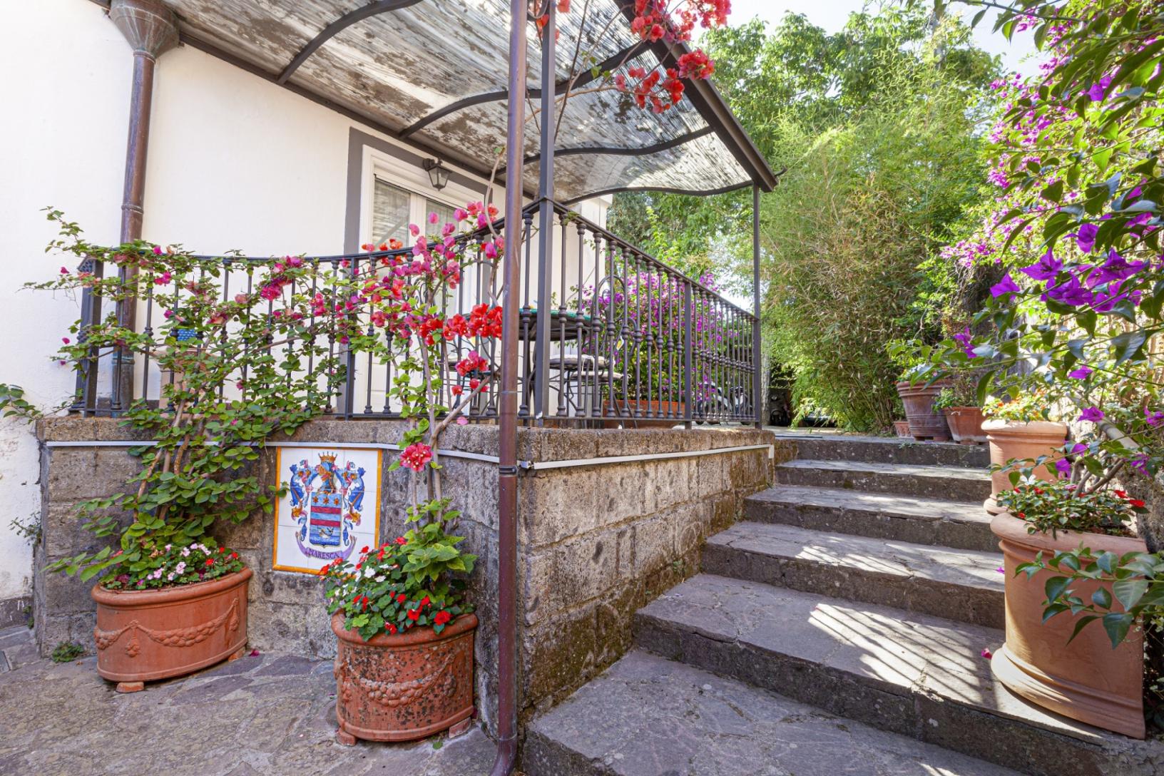 Visit our typical Sorrento garden with lemon grove-39
